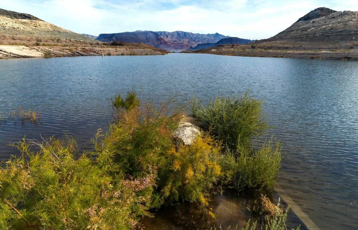 El agua vuelve a fluir en Boulder Harbor después de que la costa retrocediera dejándolo vací ...