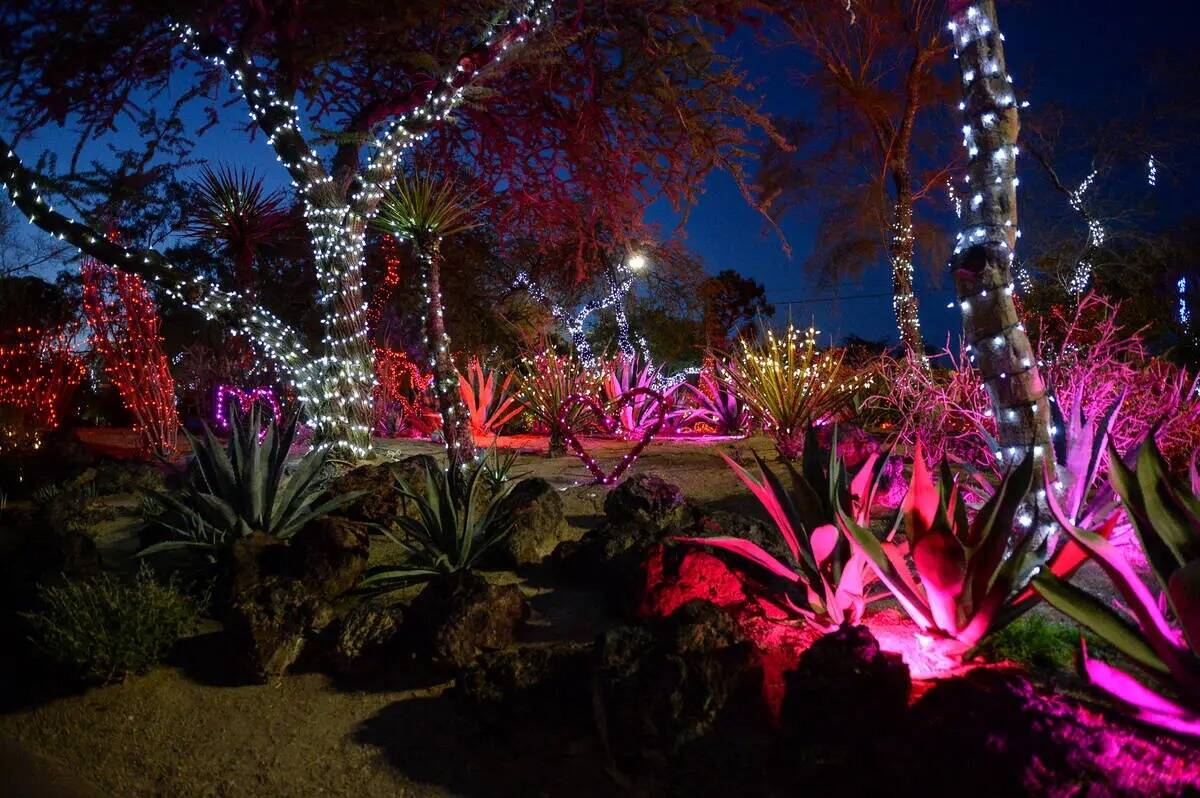 Ethel M's Cactus Garden muestra luces con temática de San Valentín en Henderson, el martes 12 ...