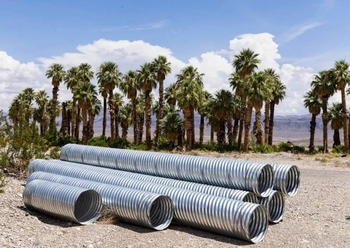 Tuberías de agua y palmeras se ven en una urbanización propuesta de Coyote Springs cerca de C ...