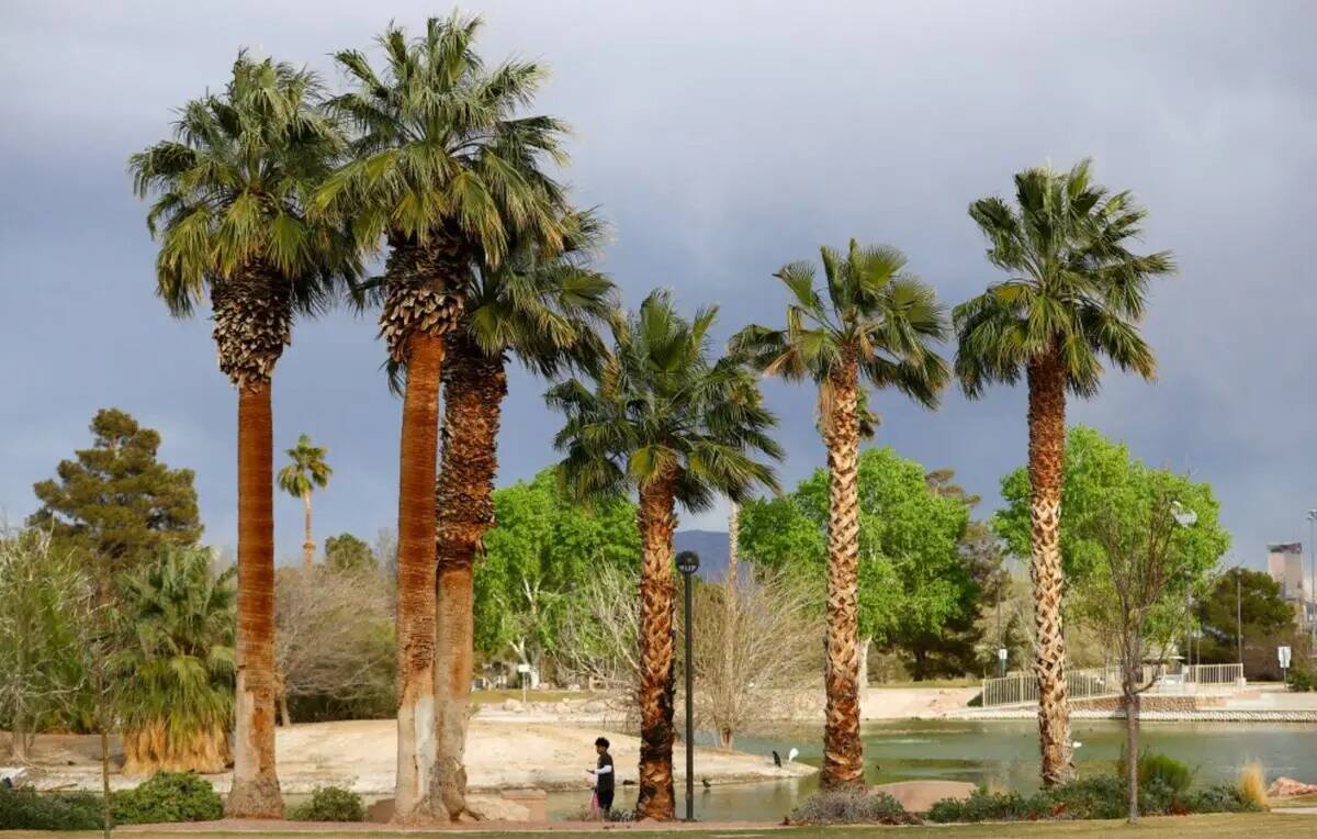 Cielo de tormenta sobre Lorenzi Park, el jueves 14 de marzo de 2024, en Las Vegas. (Ellen Schmi ...