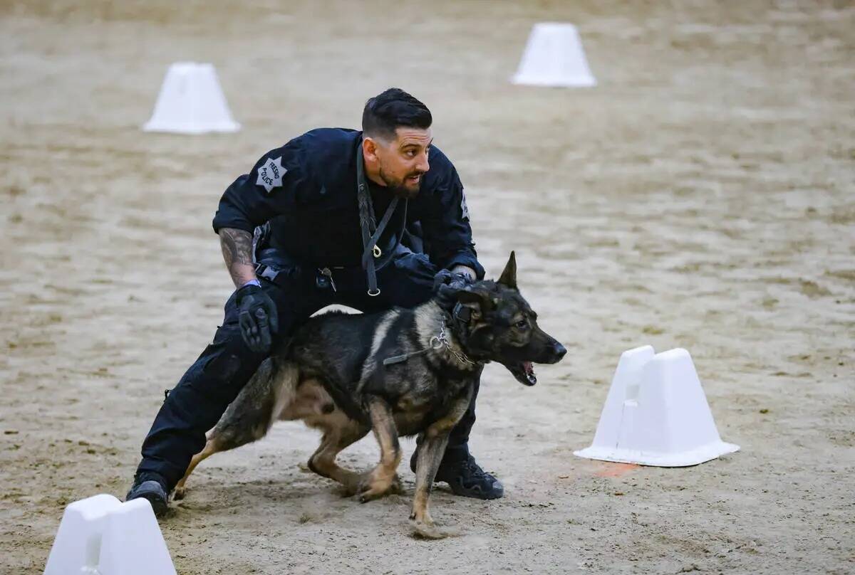 Sean Loy, agente del departamento de policía de Fresno, maneja a su perro Major durante la edi ...