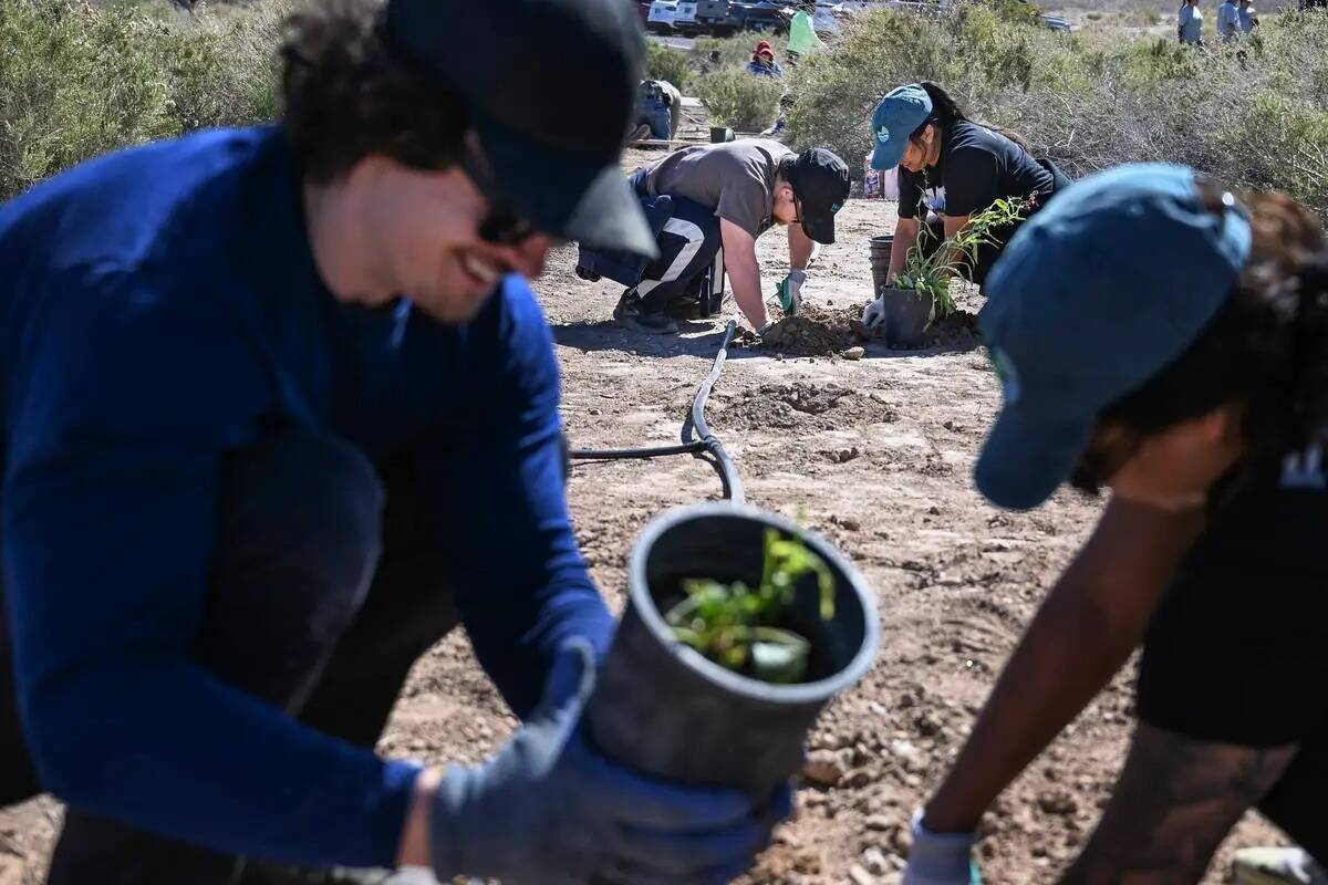 Voluntarios participan en el evento "Wash Green-Up" del Comité de Coordinación del Las Vegas ...