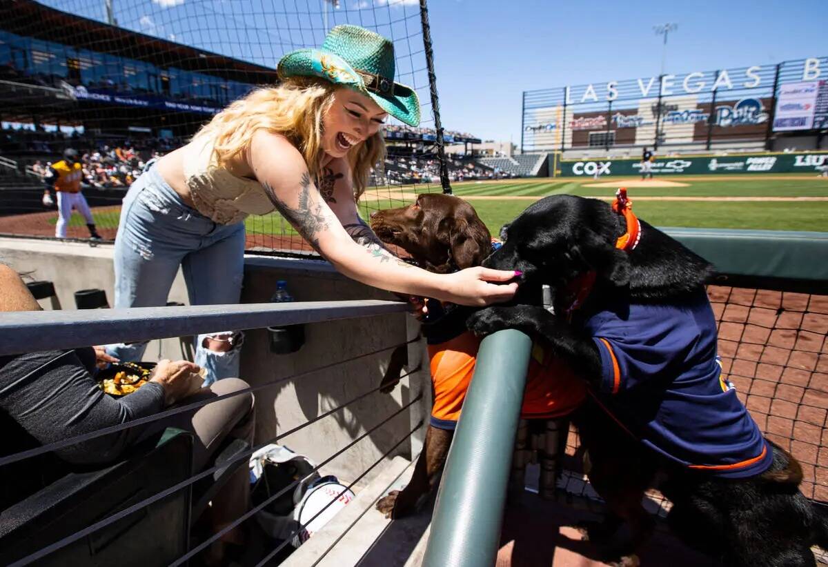 Marin Hanagan, de Las Vegas, saluda a los perros bateadores de los Aviators Lambo, en el centro ...