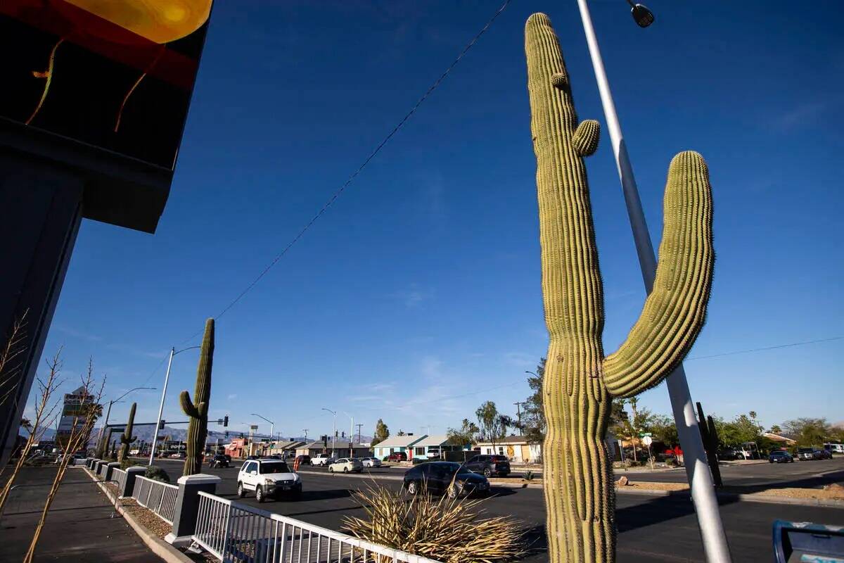 Un cactus saguaro en el exterior de Arizona Charlie's Decatur, el martes 16 de abril de 2024, e ...