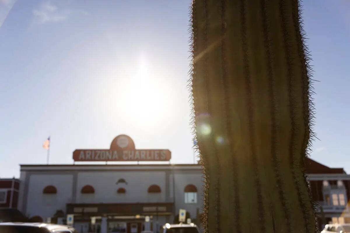 Un cactus saguaro en el exterior de Arizona Charlie's Decatur, el martes 16 de abril de 2024, e ...