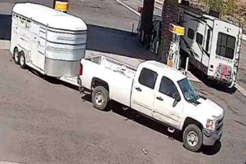 Esta imagen del Departamento de Vida Silvestre de Nevada muestra un camión que los investigado ...