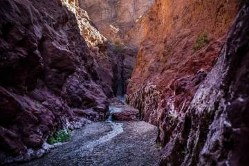 El sendero del cañón que conduce a las Arizona Hot Springs a lo largo del río Colorado, el s ...