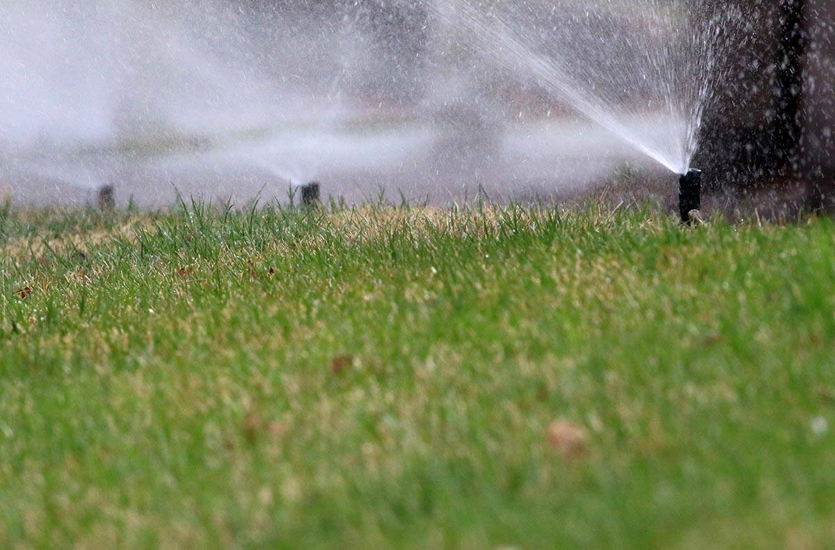 En verano, el aumento de las temperaturas permite a los habitantes del valle de Las Vegas regar ...