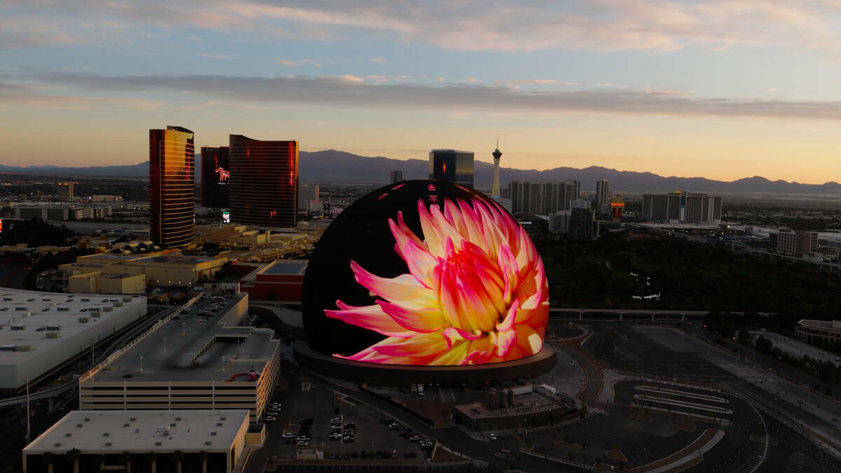 El arte del cineasta Louie Schwartzberg apareció en la Exosphere de la Sphere el Día de la Ti ...