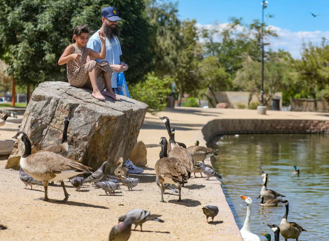 Liliana Kennedy, de 7 años, alimenta a las aves con su padre, David Kennedy, en Sunset Park, ...