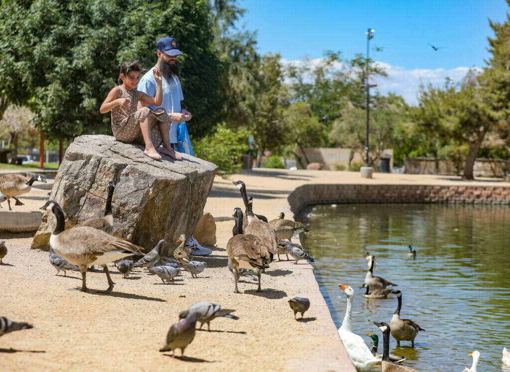 Liliana Kennedy, de 7 años, alimenta a las aves con su padre, David Kennedy, en Sunset Park, ...