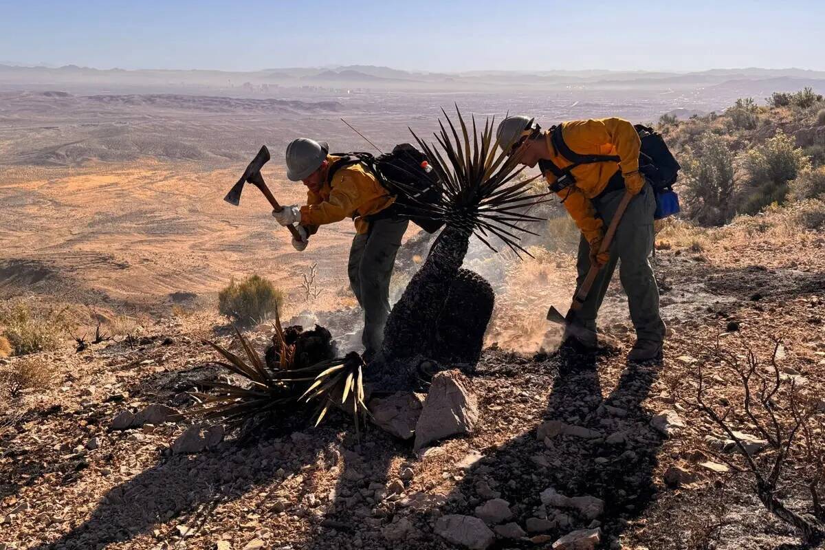 Los bomberos trabajan el martes por la mañana para contener el incendio de Bird Springs, ubica ...