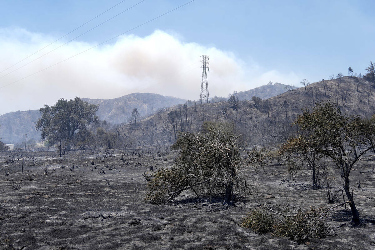Un campo quemado se muestra bajo una columna de humo del Post Fire, el domingo 16 de junio de 2 ...