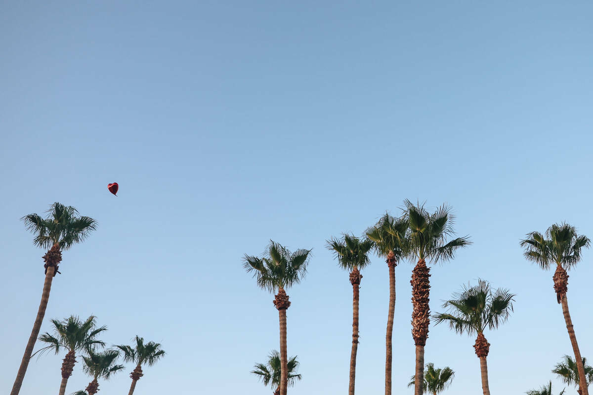 Un globo solitario flota durante una vigilia por Kayla Harris, quien fue asesinada en un quínt ...