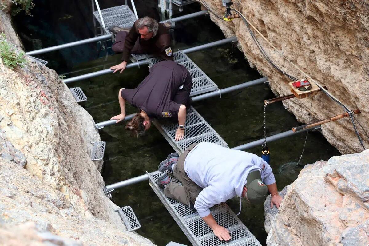 Biólogos del Servicio de Pesca y Vida Silvestre de Estados Unidos y del Servicio de Parques Na ...