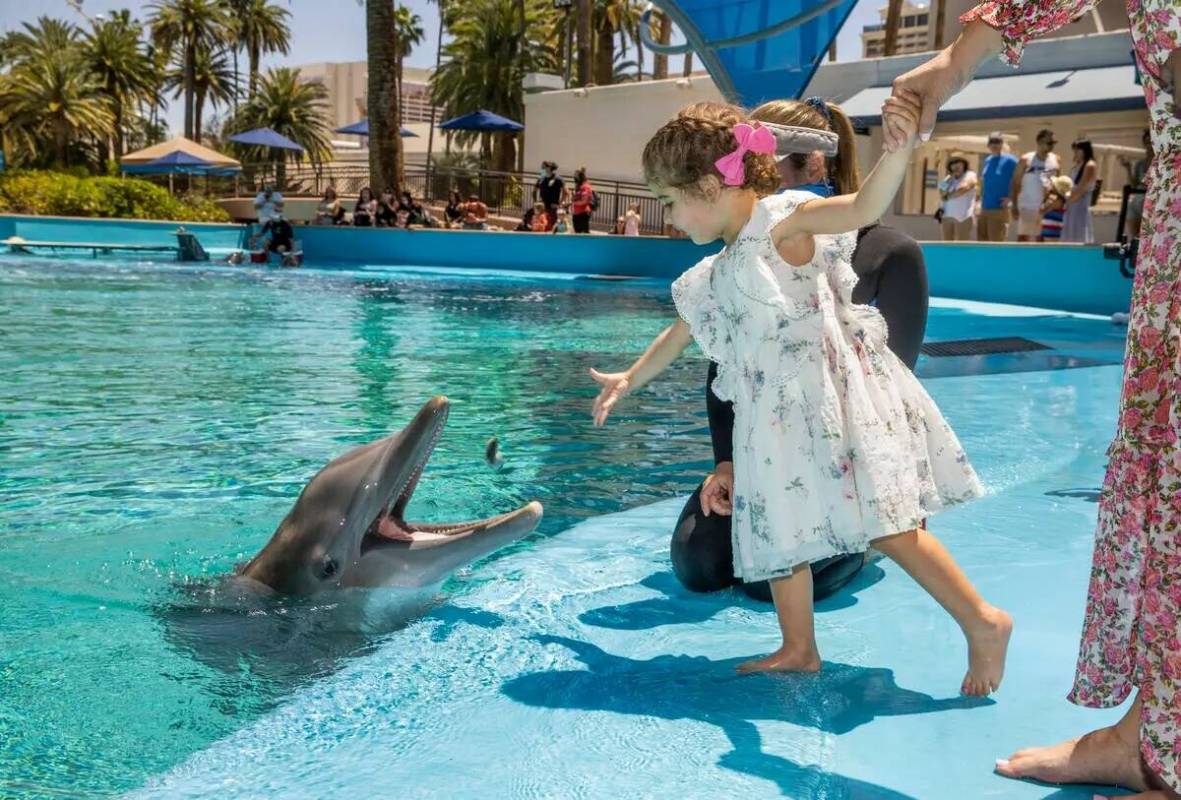 (De izquierda a derecha) Sophie Santos, de 3 años, da de comer a Maverick siguiendo las instru ...