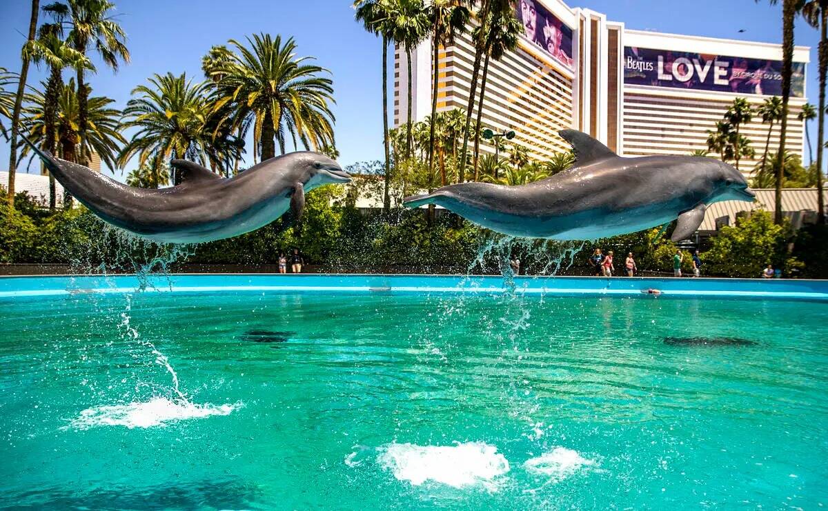 (De izquierda a derecha) Los delfines saltan por los aires en el Siegfried & Roy's Secret Garde ...