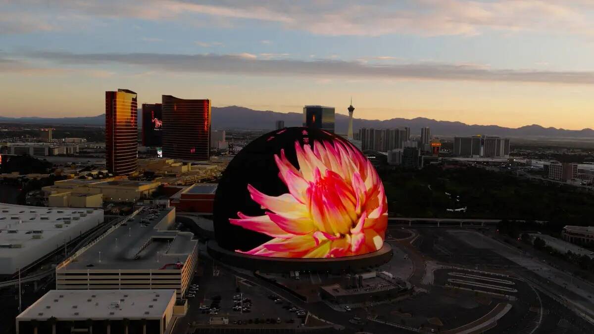 El arte del cineasta Louie Schwartzberg apareció en la Exosfera de la Sphere el Día de la Tie ...