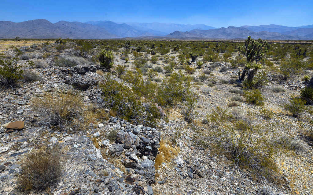 Se usará un arroyo natural en el borde de la pista propuesta de la nueva propiedad del Spacepo ...