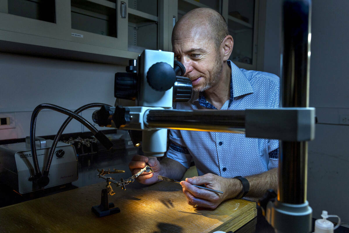 El doctor James Hyman de la UNLV trabaja con un implante neural para ratas que su departamento ...