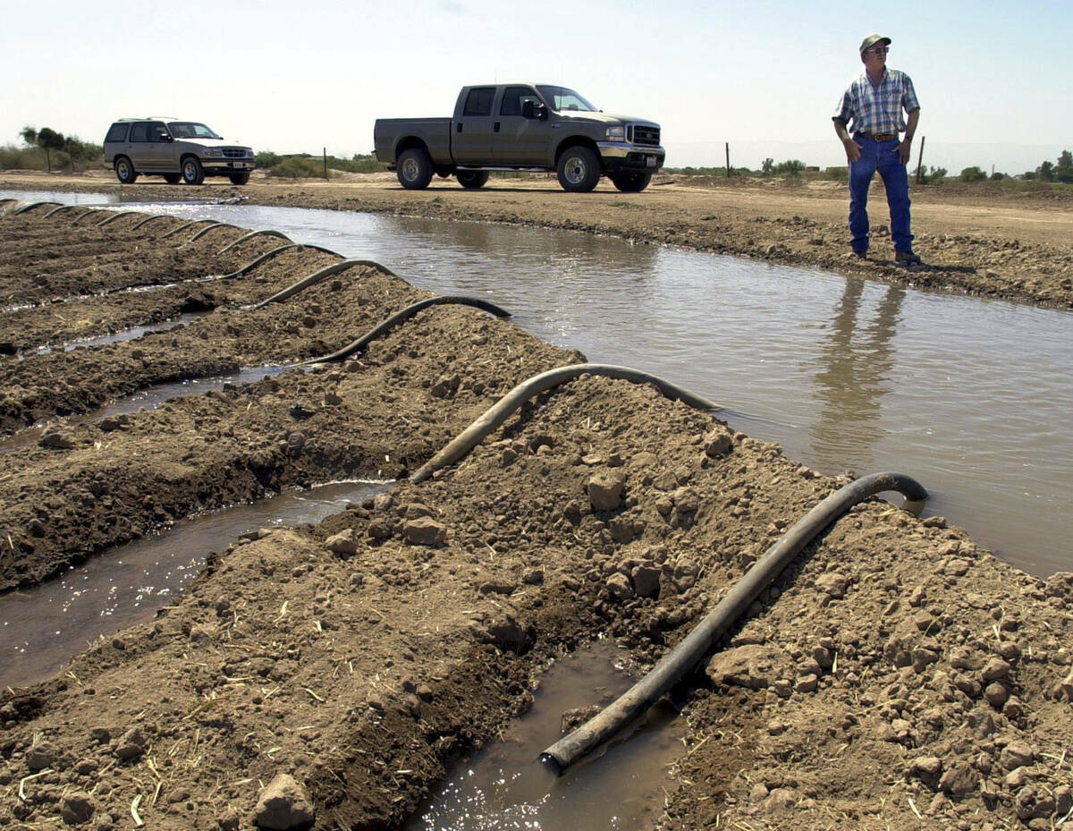 El agricultor John Hawk riega sus campos de cebollas en el Valle Imperial de California, cerca ...