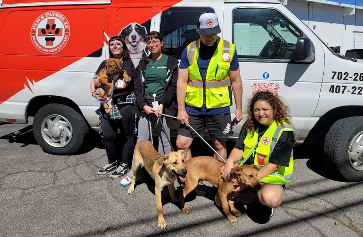 Voluntarios de Paws Patrol LV con los perros que rescataron a principios de agosto tras pasar c ...