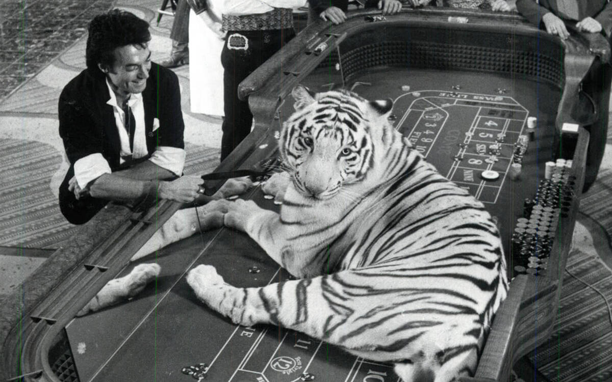 El ilusionista Roy Horn de Siegfried & Roy posa con un tigre blanco en una mesa de dados del Ae ...