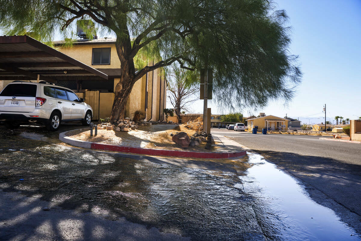 El agua se acumula en una calle en Somerset Park en Henderson, el martes 27 de agosto de 2024. ...