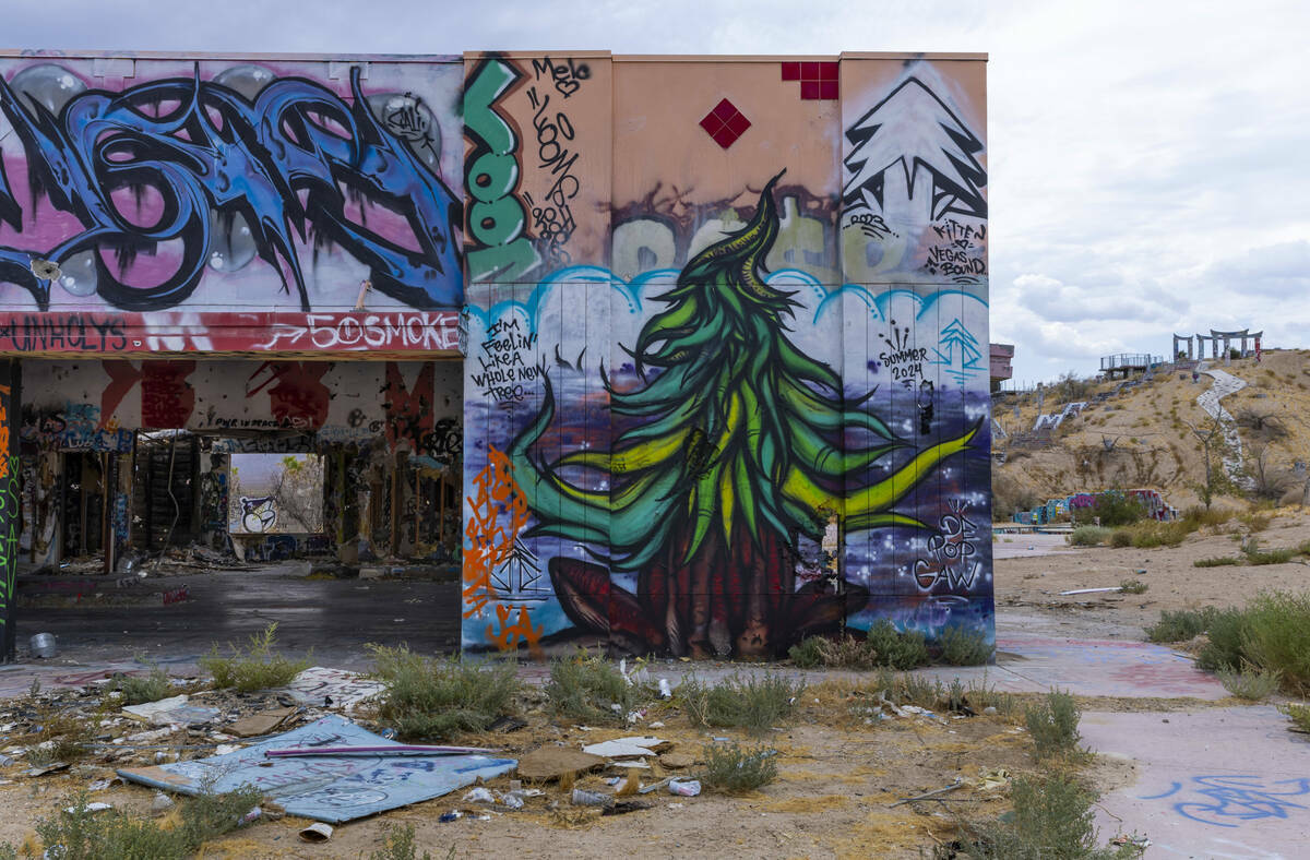 Edificios muy dañados y cubiertos de grafitis en el antiguo Rock-A-Hoola Water Park, el martes ...