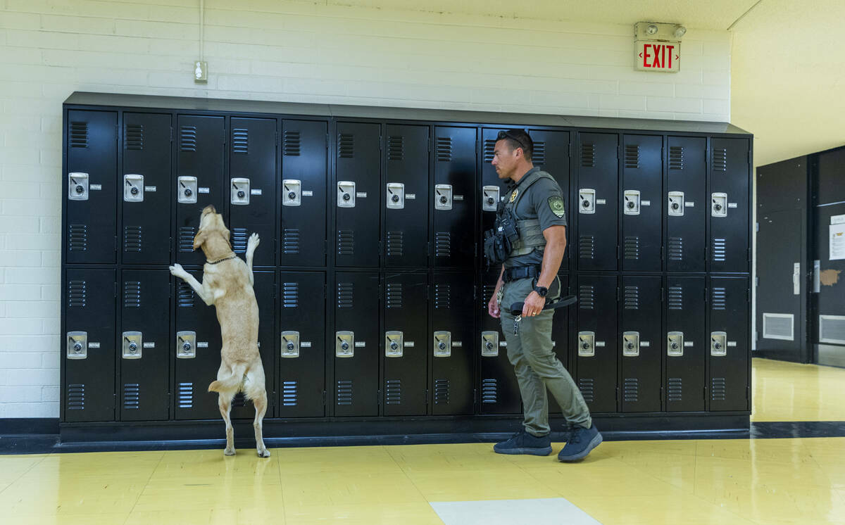 El agente Steven Patty del equipo canino del Distrito Escolar del Condado Clark con su perro de ...