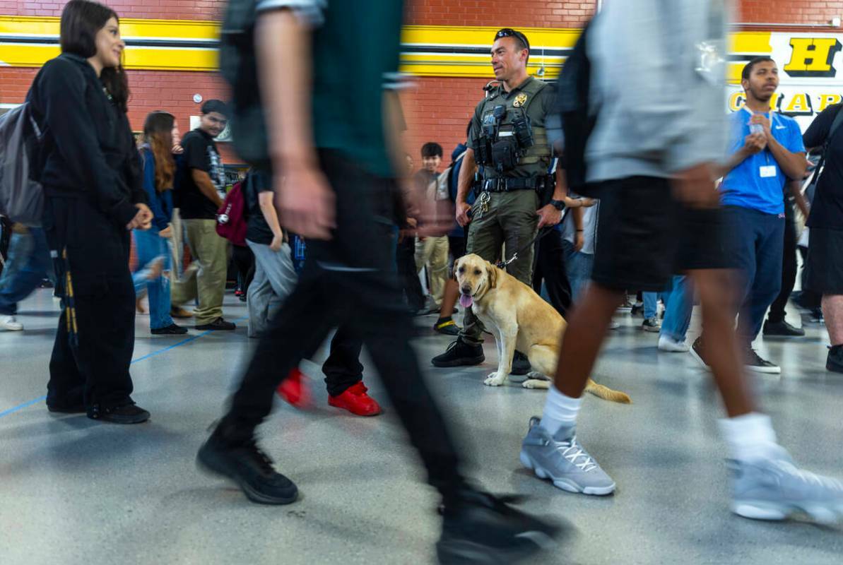 El agente Steven Patty del equipo canino del Distrito Escolar del Condado Clark con su perro de ...