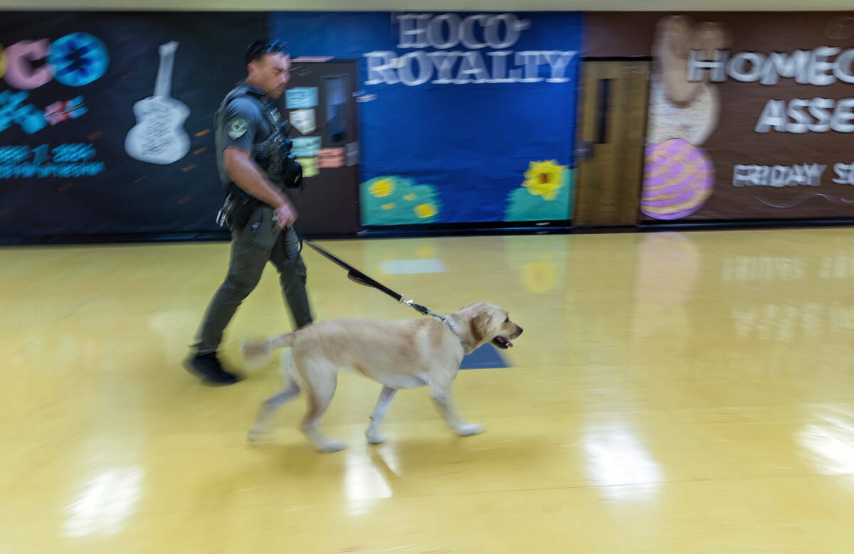 El agente Steven Patty del equipo canino del Distrito Escolar del Condado Clark con su perro de ...