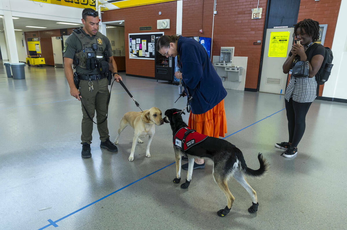 El agente Steven Patty del equipo canino del Distrito Escolar del Condado Clark con su perro de ...