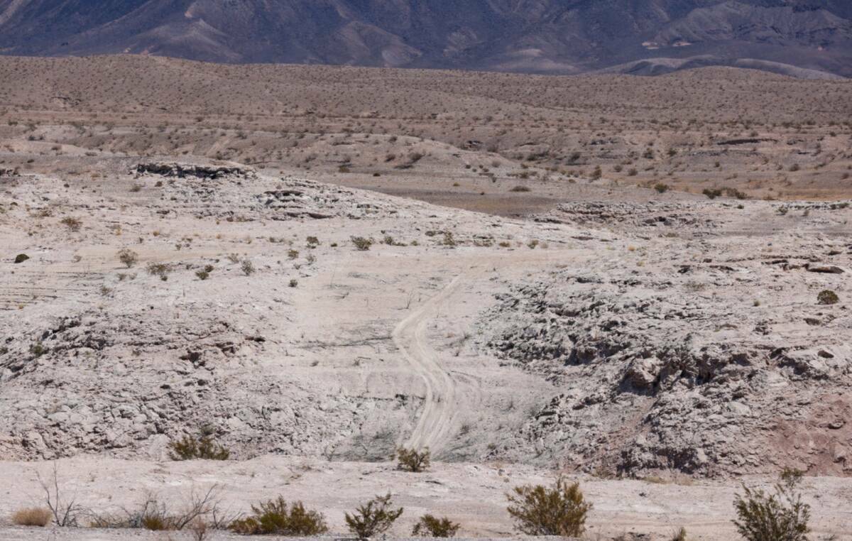 Caminos ilegales en el terreno en el Government Wash en el Lake Mead National Recreation Area, ...