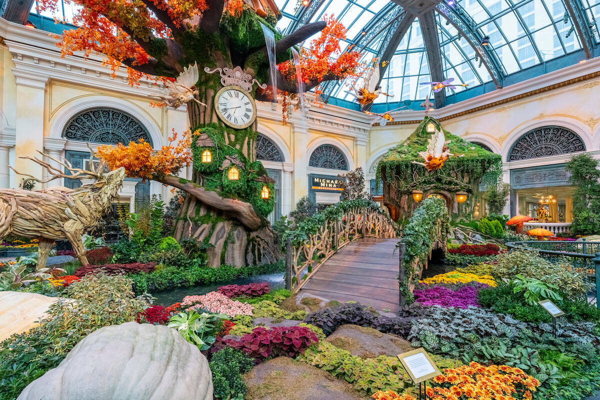 La nueva exposición ‘El Jardín del Tiempo’ del Conservatorio y Jardín Botánico del Bell ...