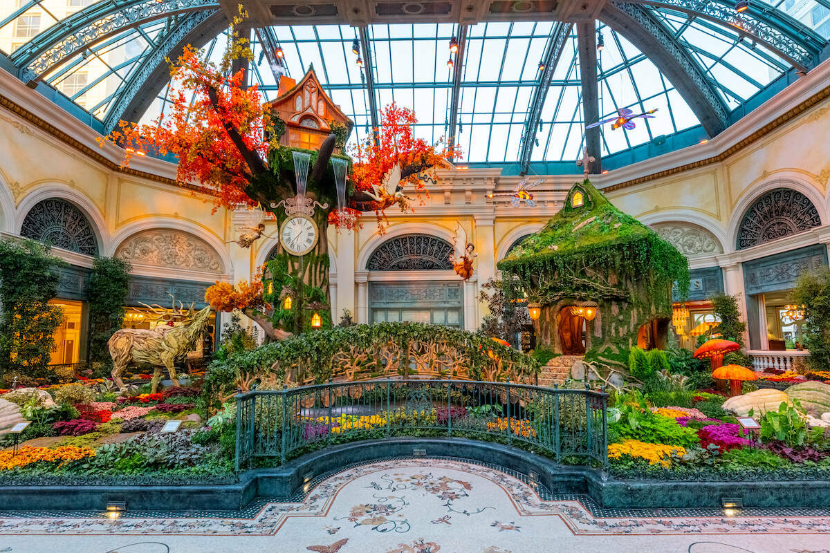 La nueva exposición ‘El Jardín del Tiempo’ del Conservatorio y Jardín Botánico del Bell ...