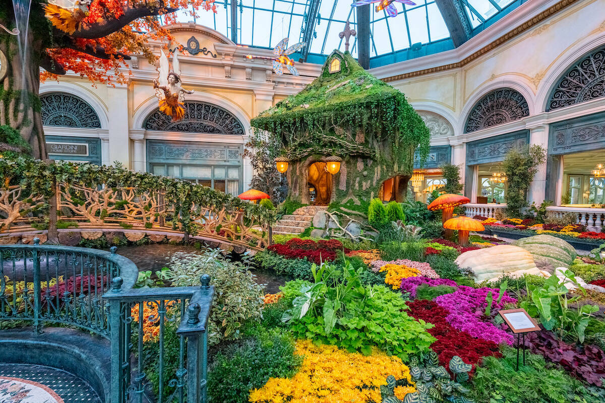 La nueva exposición ‘El Jardín del Tiempo’ del Conservatorio y Jardín Botánico del Bell ...