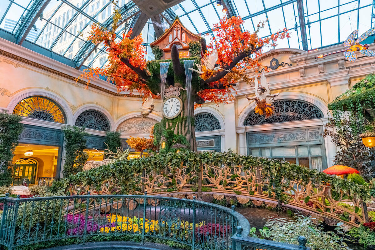 La nueva exposición ‘El Jardín del Tiempo’ del Conservatorio y Jardín Botánico del Bell ...