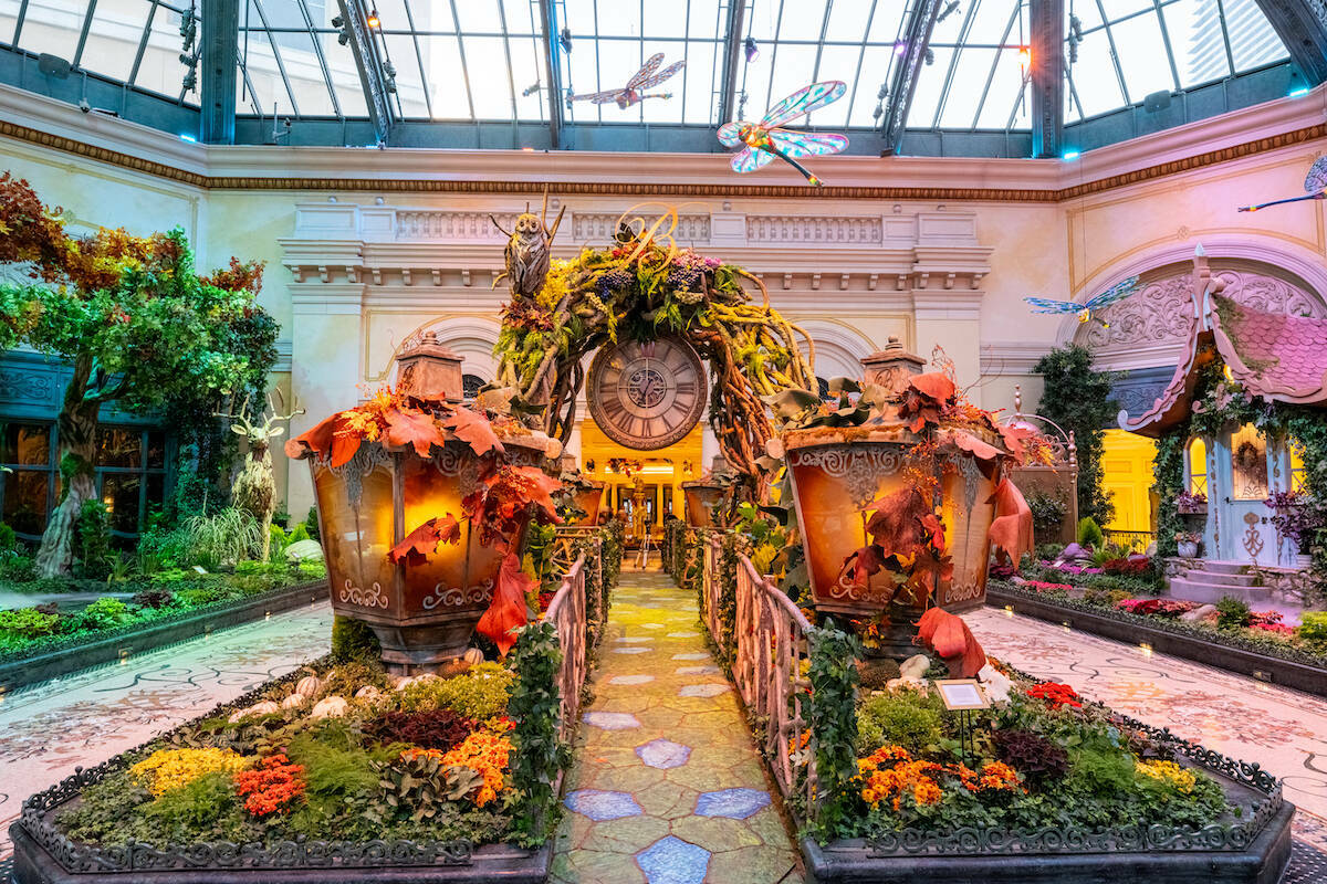 La nueva exposición ‘El Jardín del Tiempo’ del Conservatorio y Jardín Botánico del Bell ...