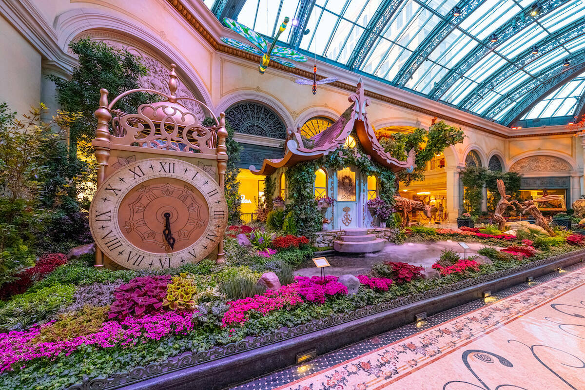 La nueva exposición ‘El Jardín del Tiempo’ del Conservatorio y Jardín Botánico del Bell ...