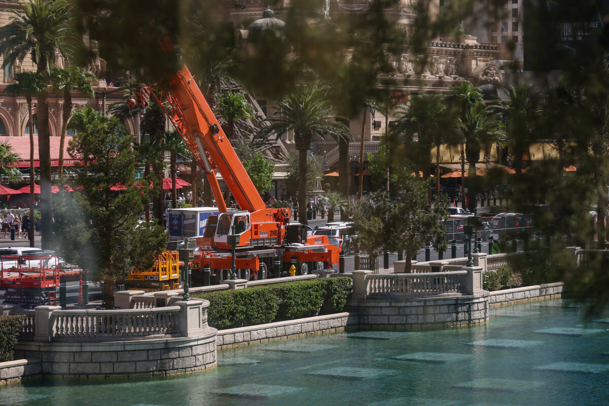 Tractores y equipos cerca de los árboles en el exterior del hotel-casino Bellagio, en Las Vega ...