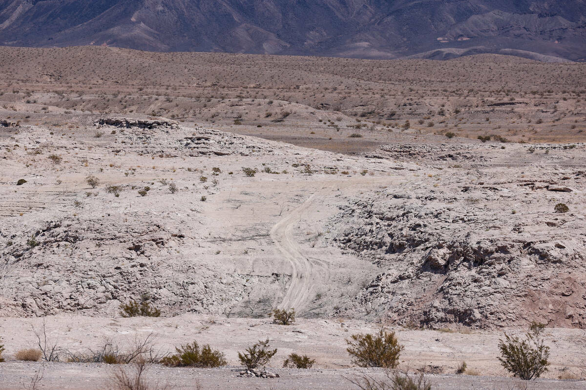 Caminos ilegales en el terreno del Government Wash en el Lake Mead National Recreation Area, en ...