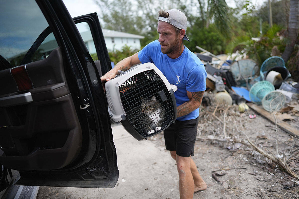 Ted Carlson pone al gato de su mejor amigo Evan Purcell, McKenzie, en una camioneta mientras am ...