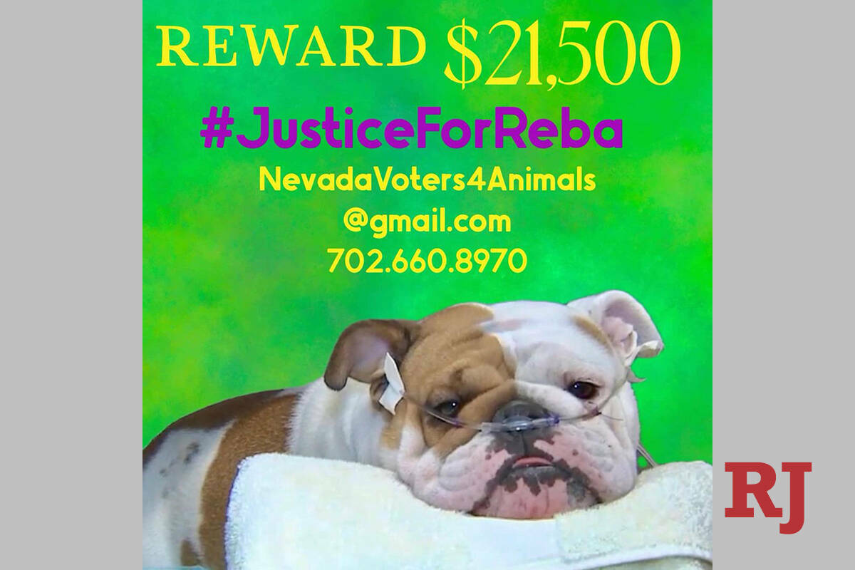 Una publicación sobre la recompensa en el caso de Reba en Vegas Pet Rescue Project. (Facebook)