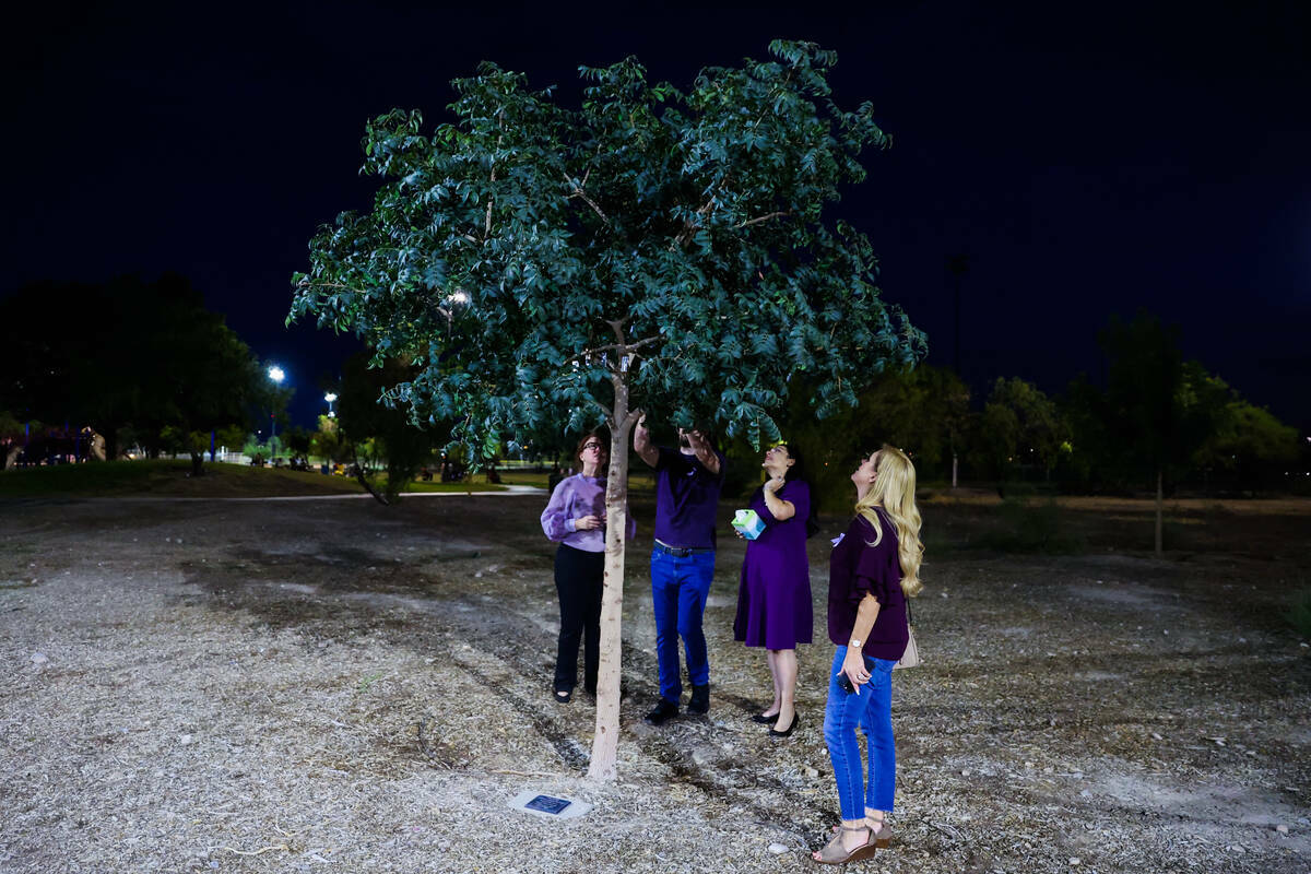 Un nuevo árbol dedicado a las víctimas de violencia doméstica es visto durante una ceremonia ...