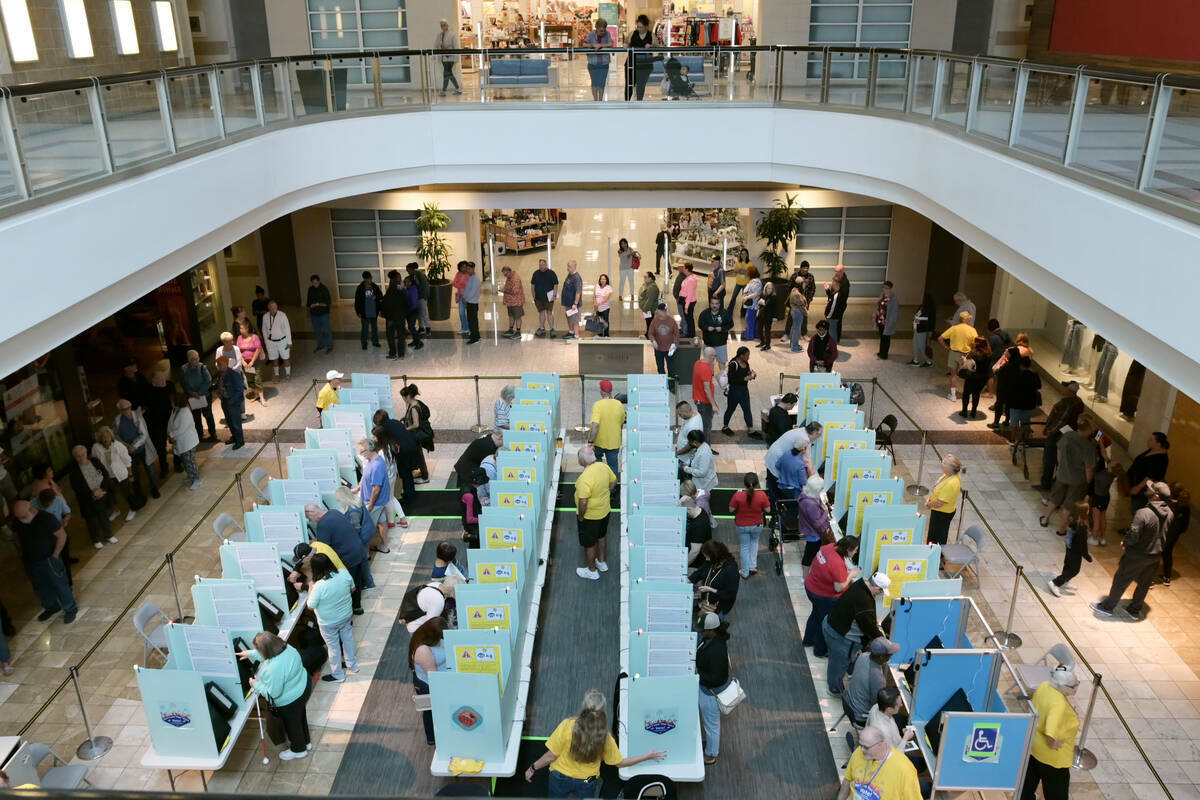 Cientos de electores participan en la votación anticipada, el sábado 19 de octubre de 2024 en ...