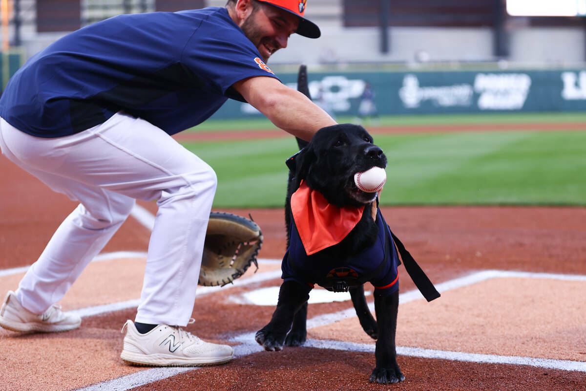 Finn the Bat Dog pasa por el plato de home mientras ‘lanza’ el primer lanzamiento antes de ...