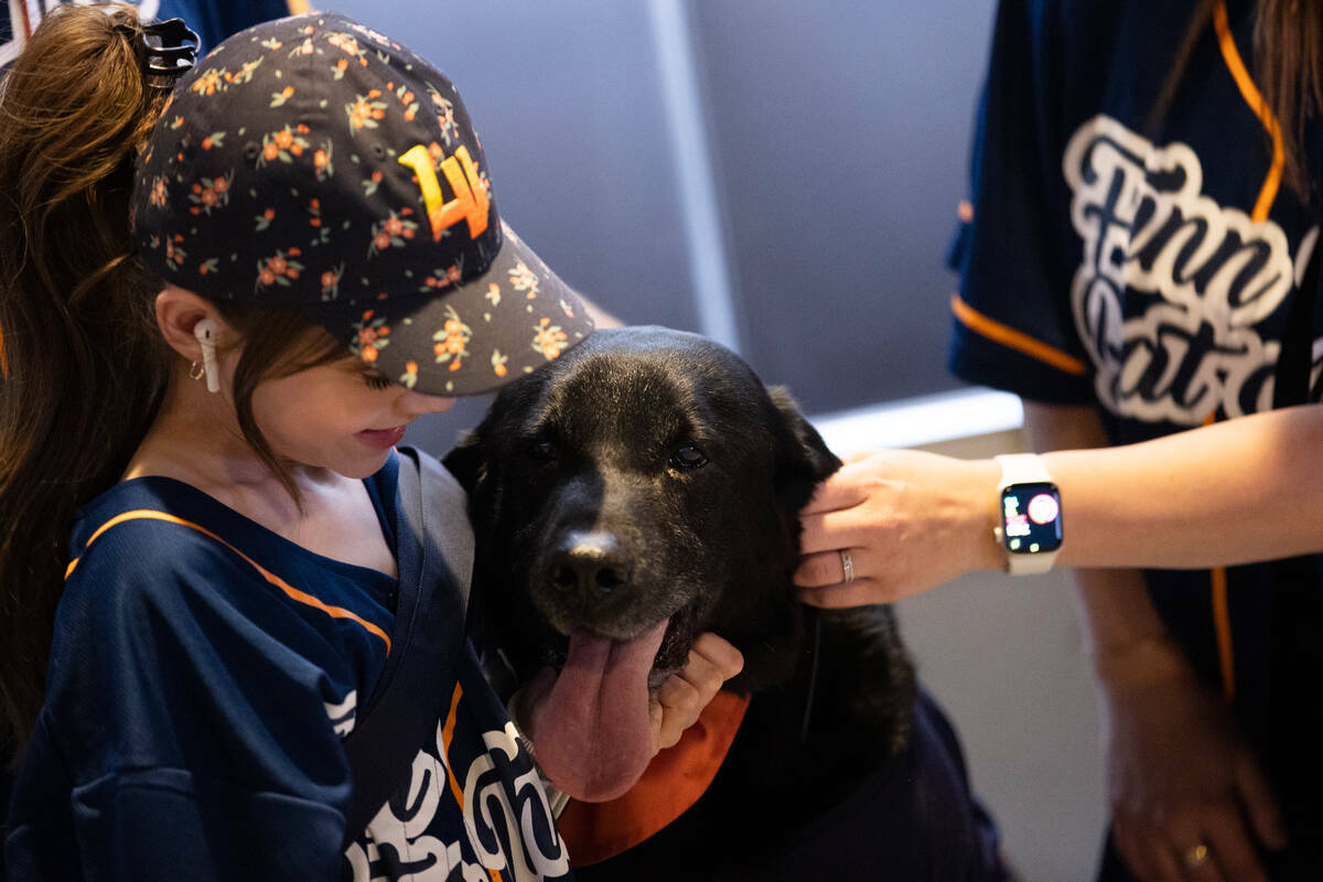 Finn the Bat Dog es amado por los fanáticos en la noche de su retiro como el perro recuperador ...