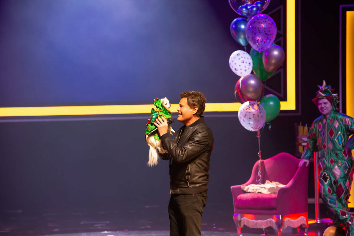 Donny Osmond se muestra cantando "Puppy Love" en Flamingo Showroom durante la celebración del ...