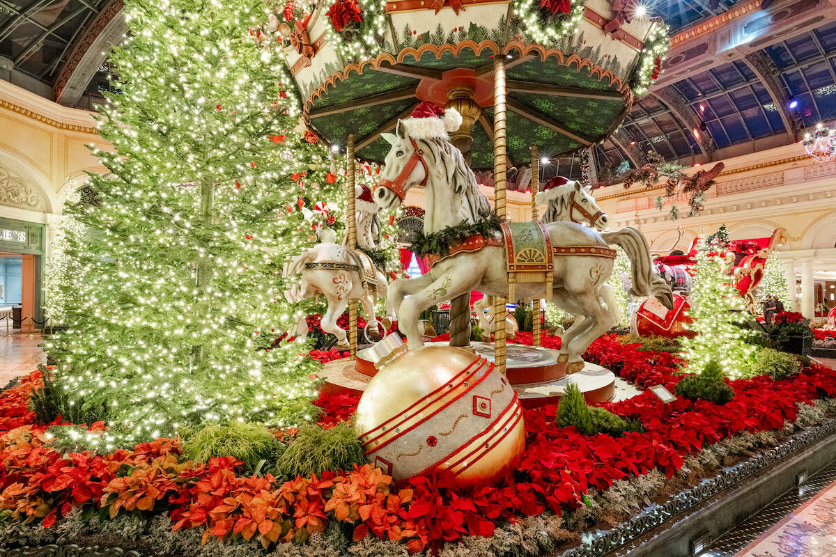 Celebrando la magia de la temporada, el Conservatorio y Jardín Botánico del Bellagio presenta ...